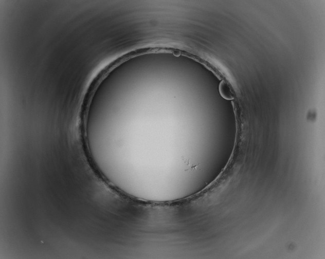 X0000103450928200809121424
