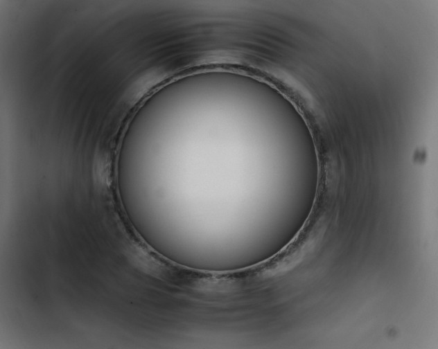 X0000103450929200809121424