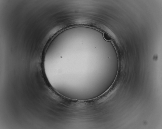 X0000103450930200809121424