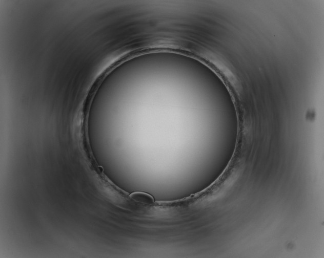 X0000103450933200809121424