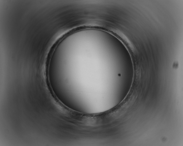X0000103450935200809121424