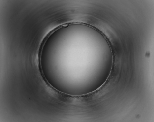 X0000103450936200809121424