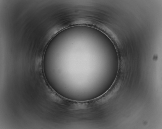 X0000103450937200809121424
