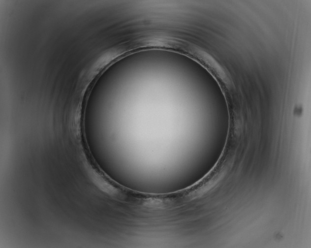 X0000103450938200809121424