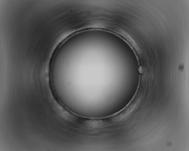 X0000103450939200809121424