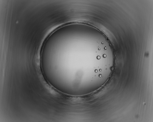 X0000103450940200809121424