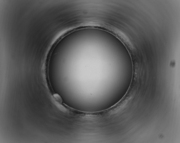 X0000103450942200809121424