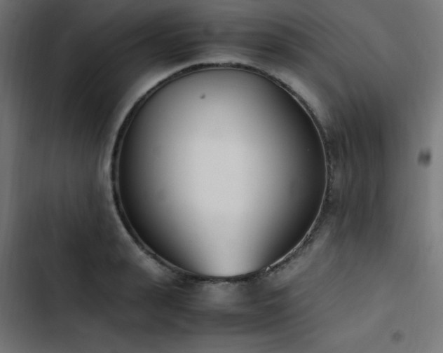 X0000103450943200809121424