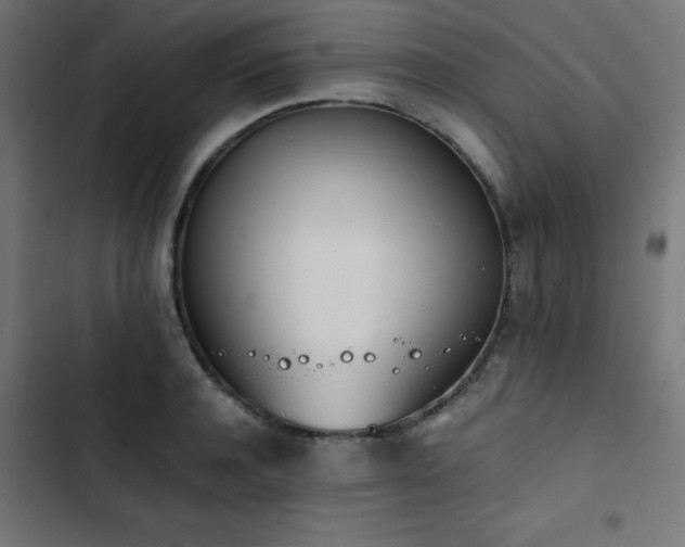 X0000103450944200809121424