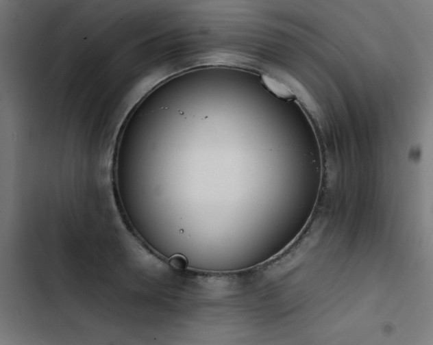 X0000103450946200809121424