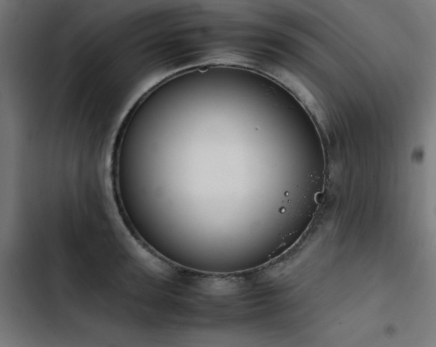 X0000103450947200809121424