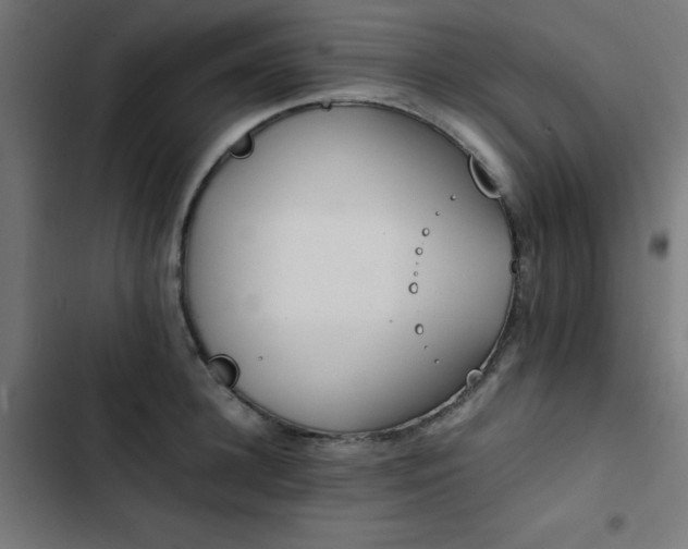X0000103450948200809121424