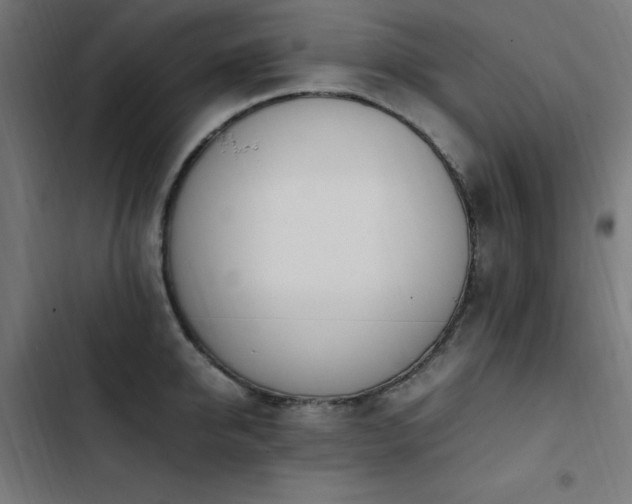 X0000103450950200809121424