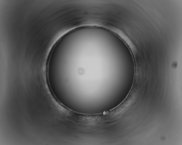 X0000103450951200809121424