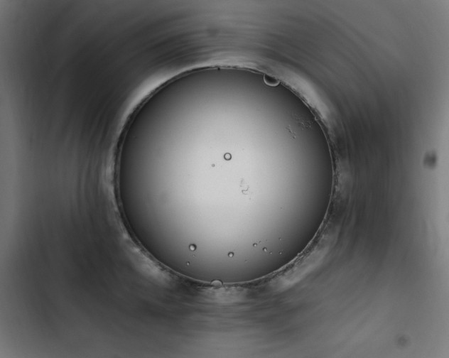 X0000103450952200809121424