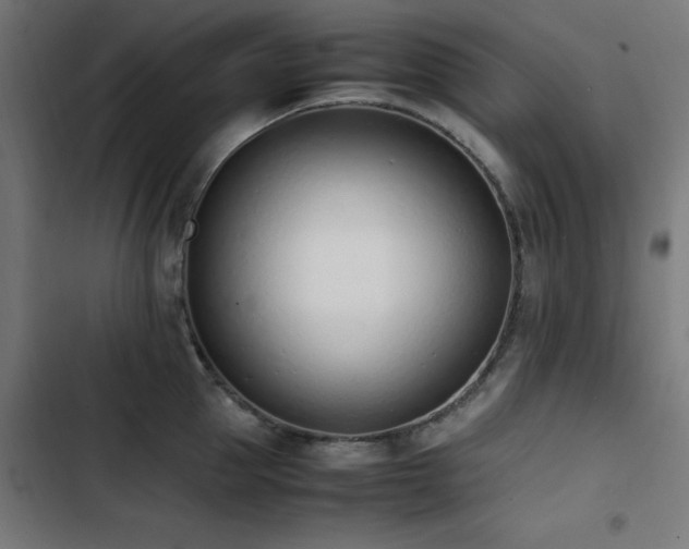 X0000103450953200809121424