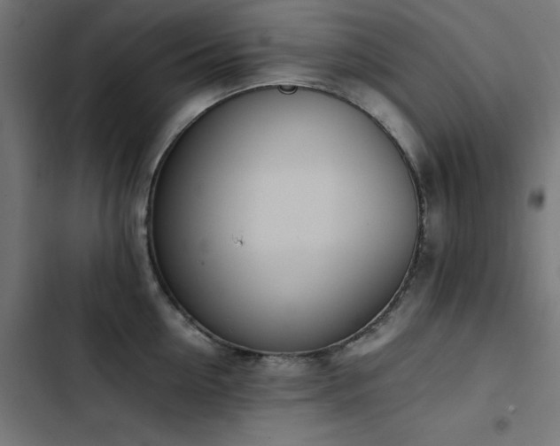 X0000103450954200809121424