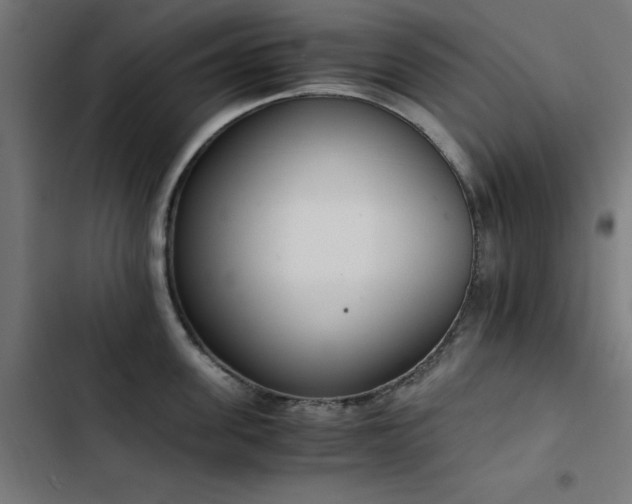 X0000103450955200809121424