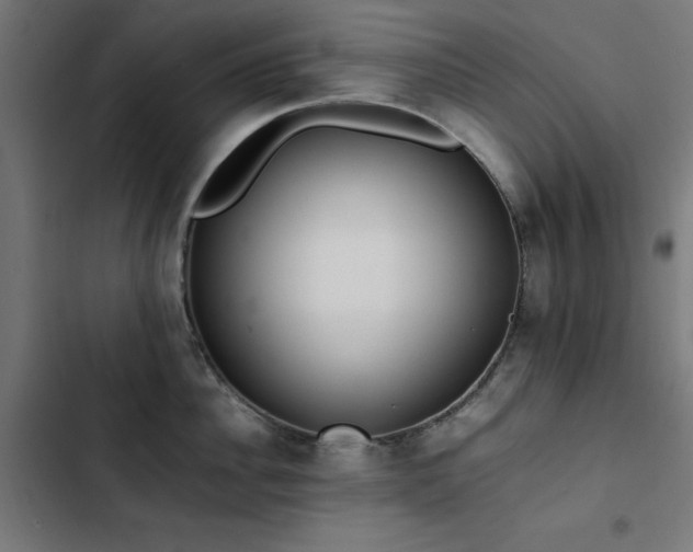X0000103450956200809121424
