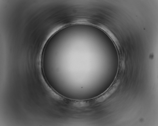 X0000103450957200809121424