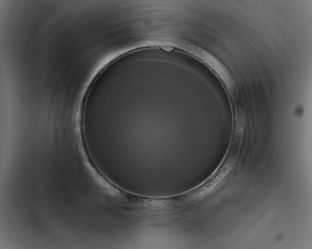 X0000103450958200809121424