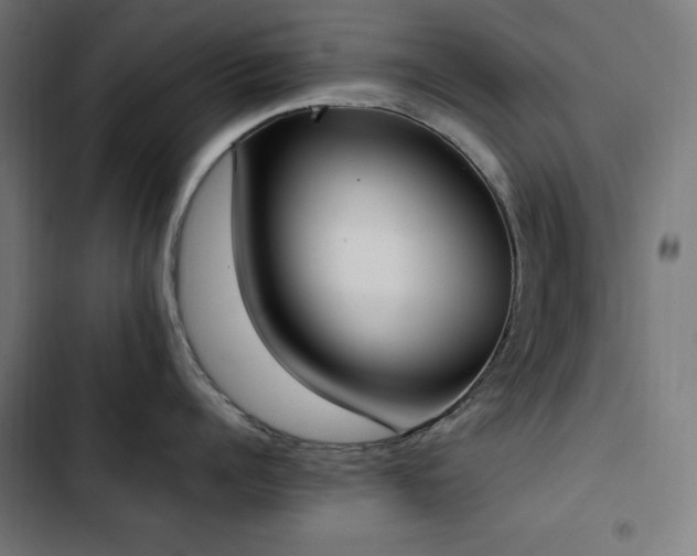X0000103450960200809121424