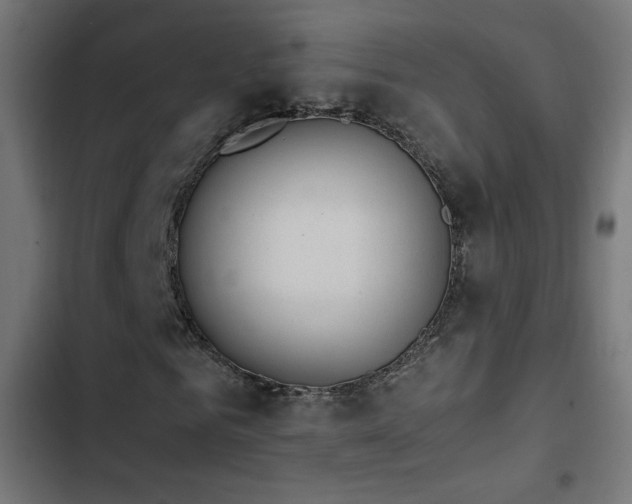 X0000103450961200809121423