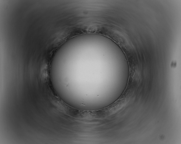 X0000103450962200809121423