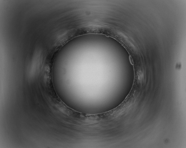 X0000103450964200809121423