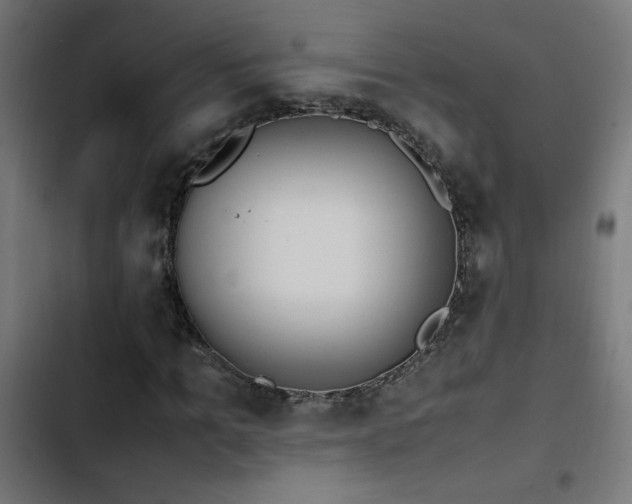 X0000103450965200809121423