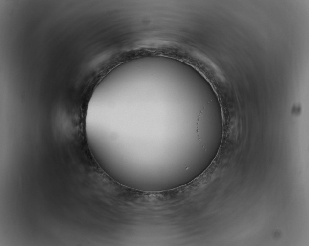 X0000103450966200809121423