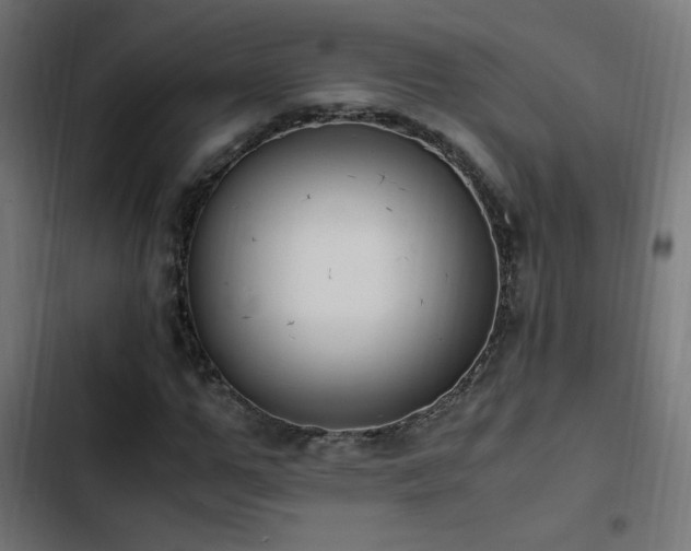 X0000103450967200809121423