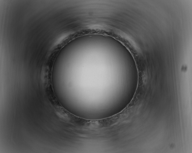 X0000103450968200809121423