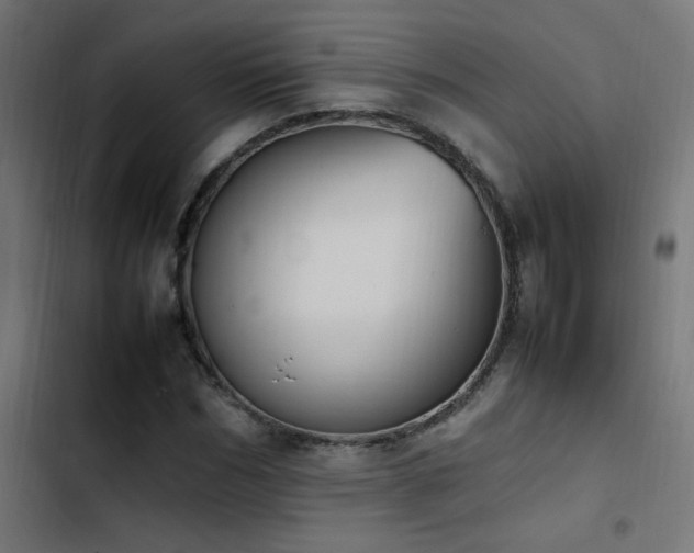 X0000103450970200809121423