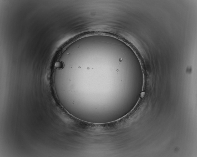 X0000103450971200809121423