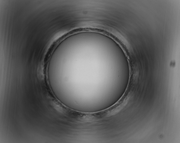 X0000103450974200809121423