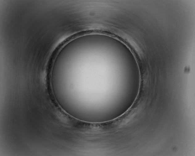 X0000103450975200809121423