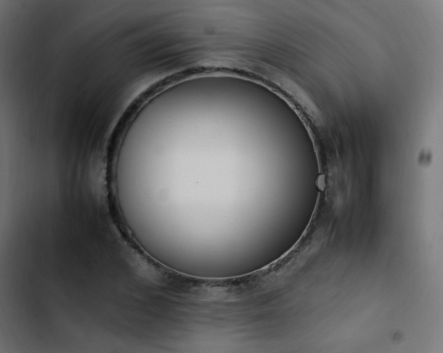 X0000103450976200809121423