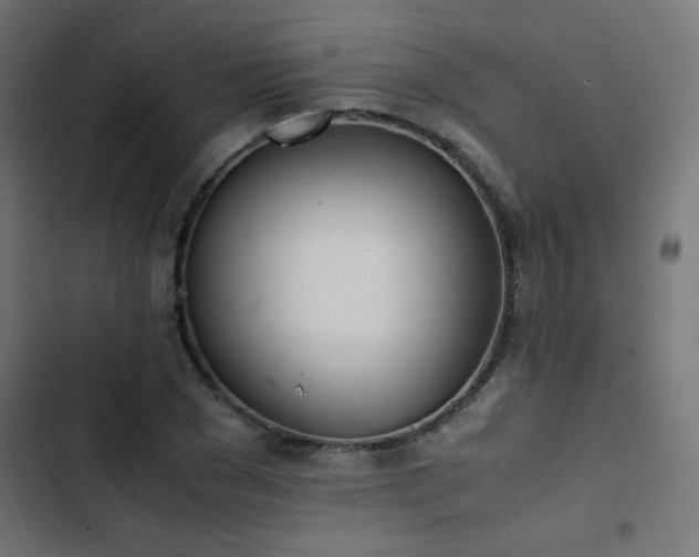 X0000103450977200809121423