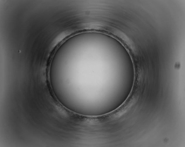 X0000103450978200809121423