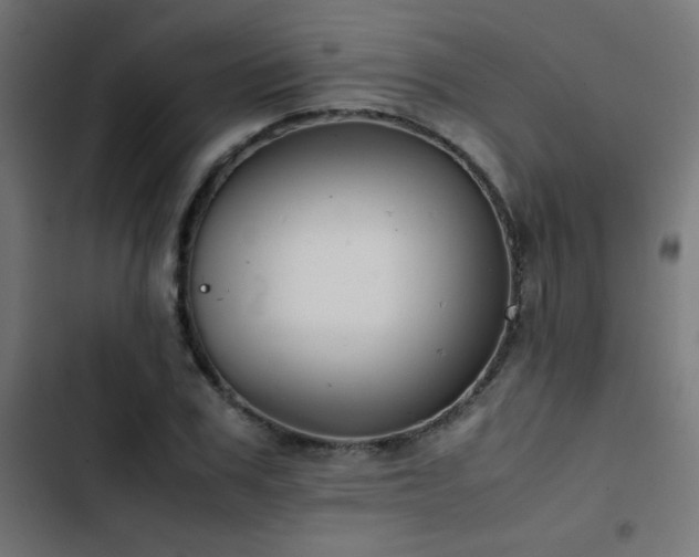 X0000103450979200809121423