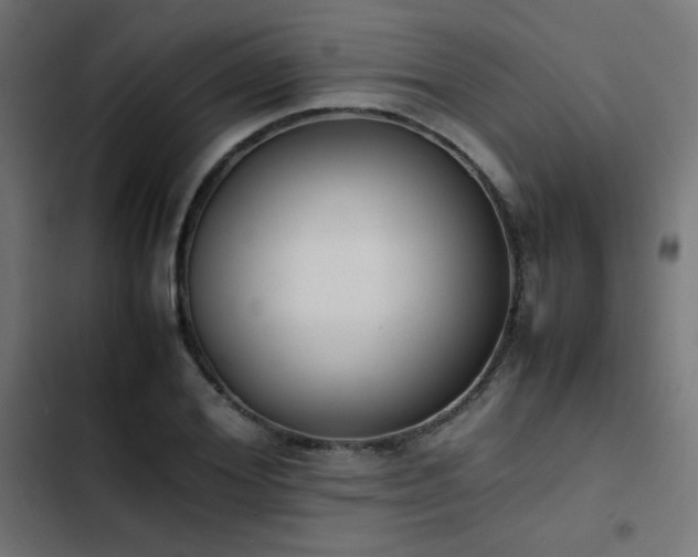 X0000103450980200809121423