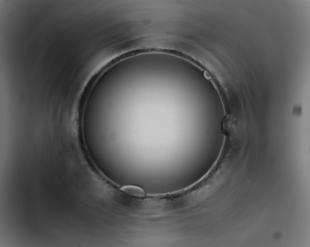 X0000103450981200809121423
