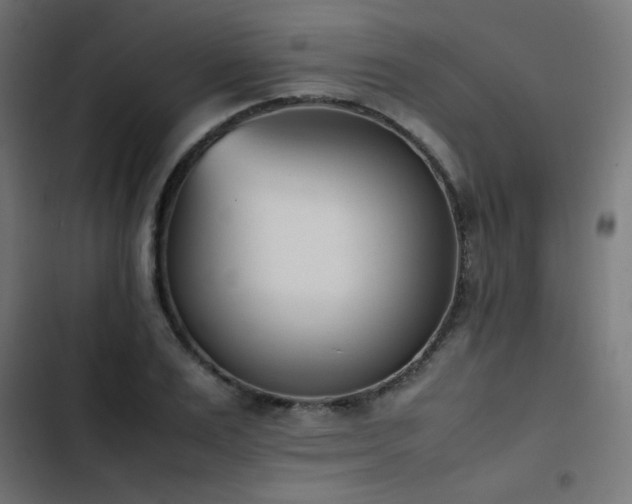 X0000103450983200809121423