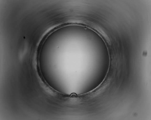 X0000103450984200809121423