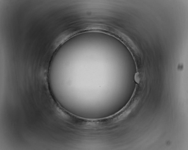 X0000103450985200809121423
