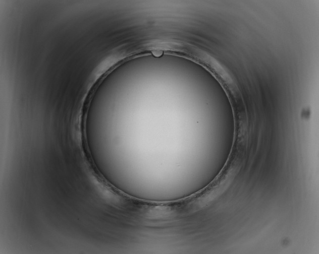 X0000103450986200809121423