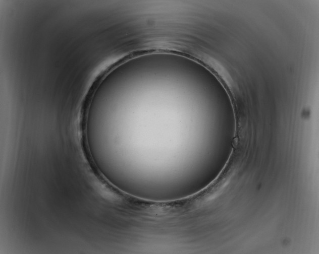 X0000103450987200809121423