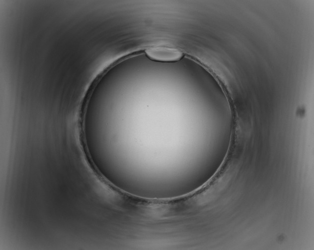 X0000103450989200809121423
