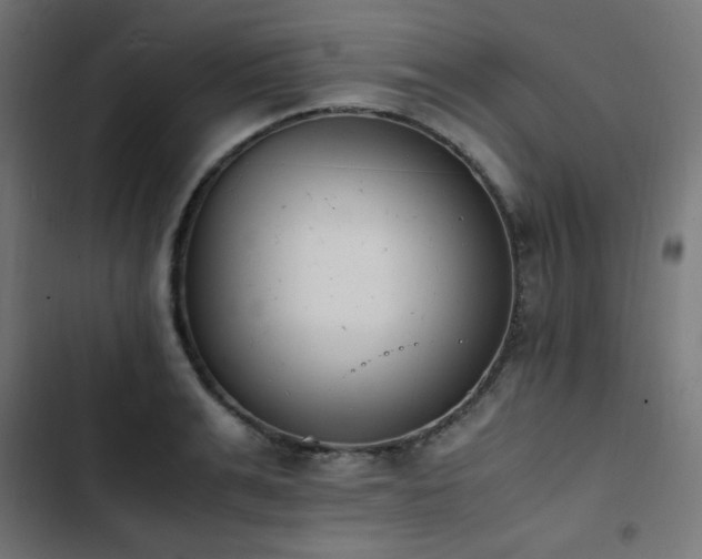 X0000103450991200809121423